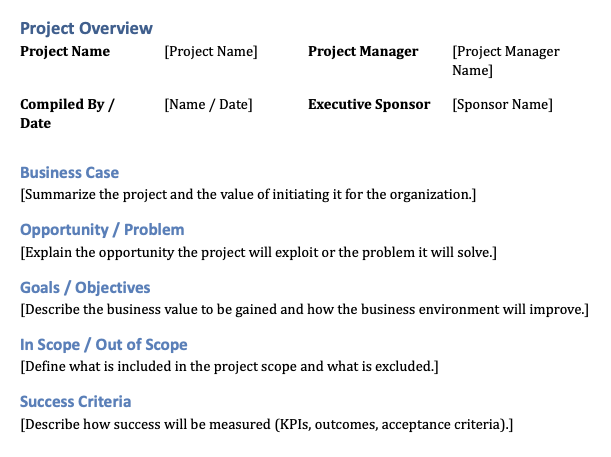 Project Overview Template